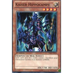 Kaiser Hippocampe (C) [YSKR]