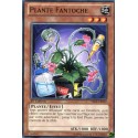 Plante Fantoche (C) [YSKR]