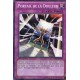 Portail de la Douleur (C) [YSKR]