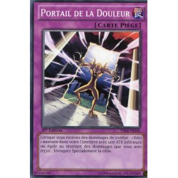 Portail de la Douleur (C) [YSKR]