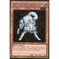 Ryko le Chasseur, Seigneur Lumière (GOLD) [PGLD]