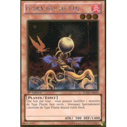 Floraison de Feu  (GOLD) [PGLD]