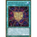 Force Chaos d'Argent Magie-Rang-Plus (Gold Secrète) [PGLD]