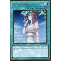 Graal Interdit (Gold Rare) [PGLD]