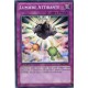 Lumière Attirante (C) [SDLI]