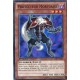 Protecteur Mortuaire (C) [SDLI]