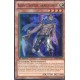 Raiden le Serviteur, Seigneur Lumière (SR) [SDLI]