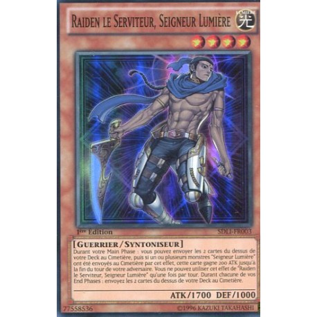 Raiden le Serviteur, Seigneur Lumière (SR) [SDLI]