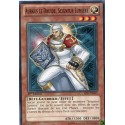 Aurkus le Druide, Seigneur Lumière (C) [SDLI]
