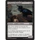 Noire - Corbeau charognard (C) [M15]