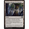 Terrain - Etendues sauvages en évolution (C) [M15]