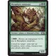 Verte - Bryophyte carnivore (C) [M15]