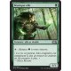 Verte - Mystique elfe (C) [M15]