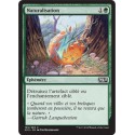 Verte - Naturalisation (C) [M15]