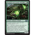 Verte - Parangon de la nature éternelle (U) [M15]