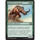 Verte - Rhinocéros fougueux (C) [M15]