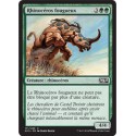 Verte - Rhinocéros fougueux (C) [M15]