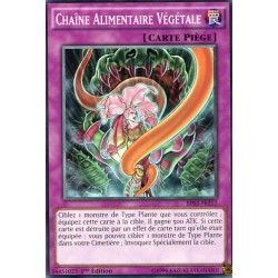 Chaîne Alimentaire Végétale  (C) [BP03]