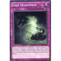 Chat Quantique  (C) [BP03]