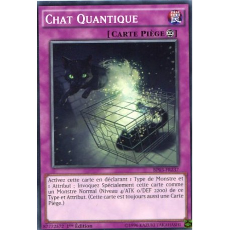 Chat Quantique  (C) [BP03]
