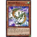 Dragon Rusé (R) [BP03]