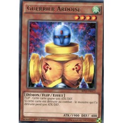 Guerrier Ardoise  (R) [BP03]
