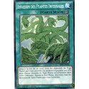 Invasion des Plantes Infernales (C) [BP03]