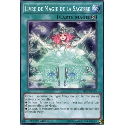 Livre de Magie de la Sagesse  (C) [BP03]