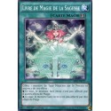 Livre de Magie de la Sagesse (C) [BP03]