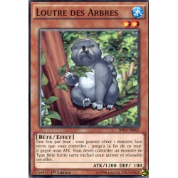 Loutre des Arbres  (C) [BP03]
