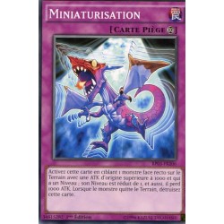 Miniaturisation  (C) [BP03]