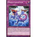 Miniaturisation (C) [BP03]
