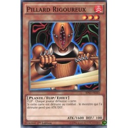 Pillard Rigoureux  (C) [BP03]