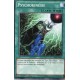 Psychokinésie  (C) [BP03]