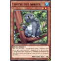 Archiduc Étain (SHF) [BP03]