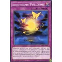 Asujettissement Papillonnant (C) [BP03]