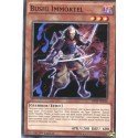 Bushi Immortel (C) [BP03]