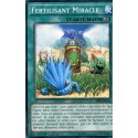 Fertilisant Miracle (C) [BP03]