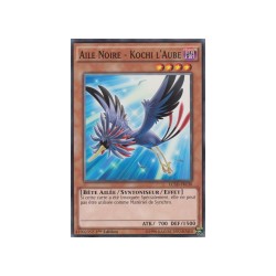 Aile Noire - Kochi l'Aube (C) [LC5D]