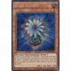 Bulbe Luisant (STR) [LC5D]
