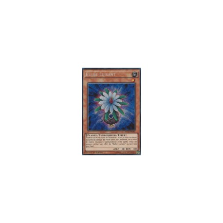 Bulbe Luisant (STR) [LC5D]