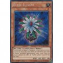 Bulbe Luisant (STR) [LC5D]
