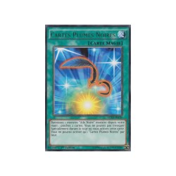 Cartes Plumes Noires (R) [LC5D]