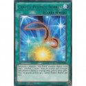 Cartes Plumes Noires (R) [LC5D]
