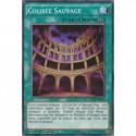 Colisée Sauvage (C) [LC5D]