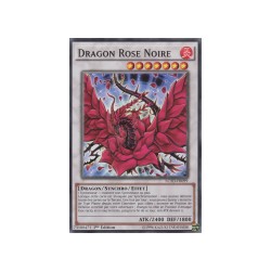 Dragon Rose Noire (C) [LC5D]
