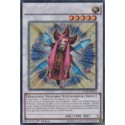 Magicienne des Merveilles T.G. (STR) [LC5D]