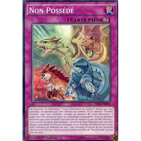 Non Possédé (C) [SECE]