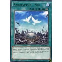 Raidraptor - Nid (R) [SECE]