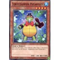 Tortutampon Potartiste (C) [SECE]